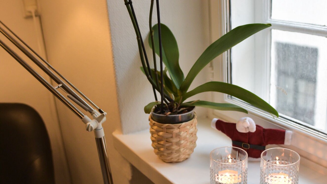 Photo of Others in Copenhagen City Centre