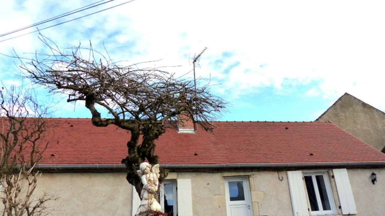 Photo of Outdoor in Brout-Vernet