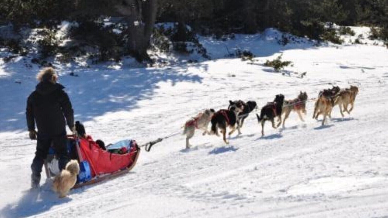 Photo of Others in Porte-Puymorens