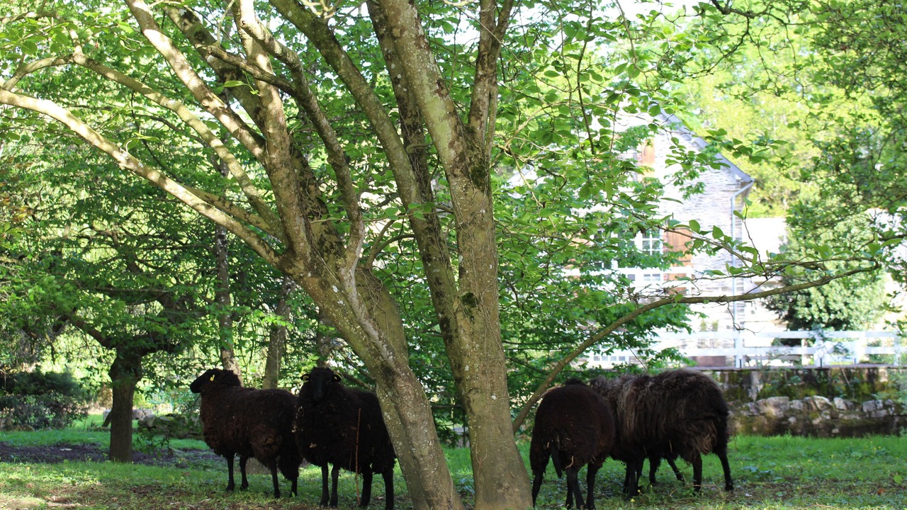 Photo of Outdoor in Bretagne Porte de Loire Communaute