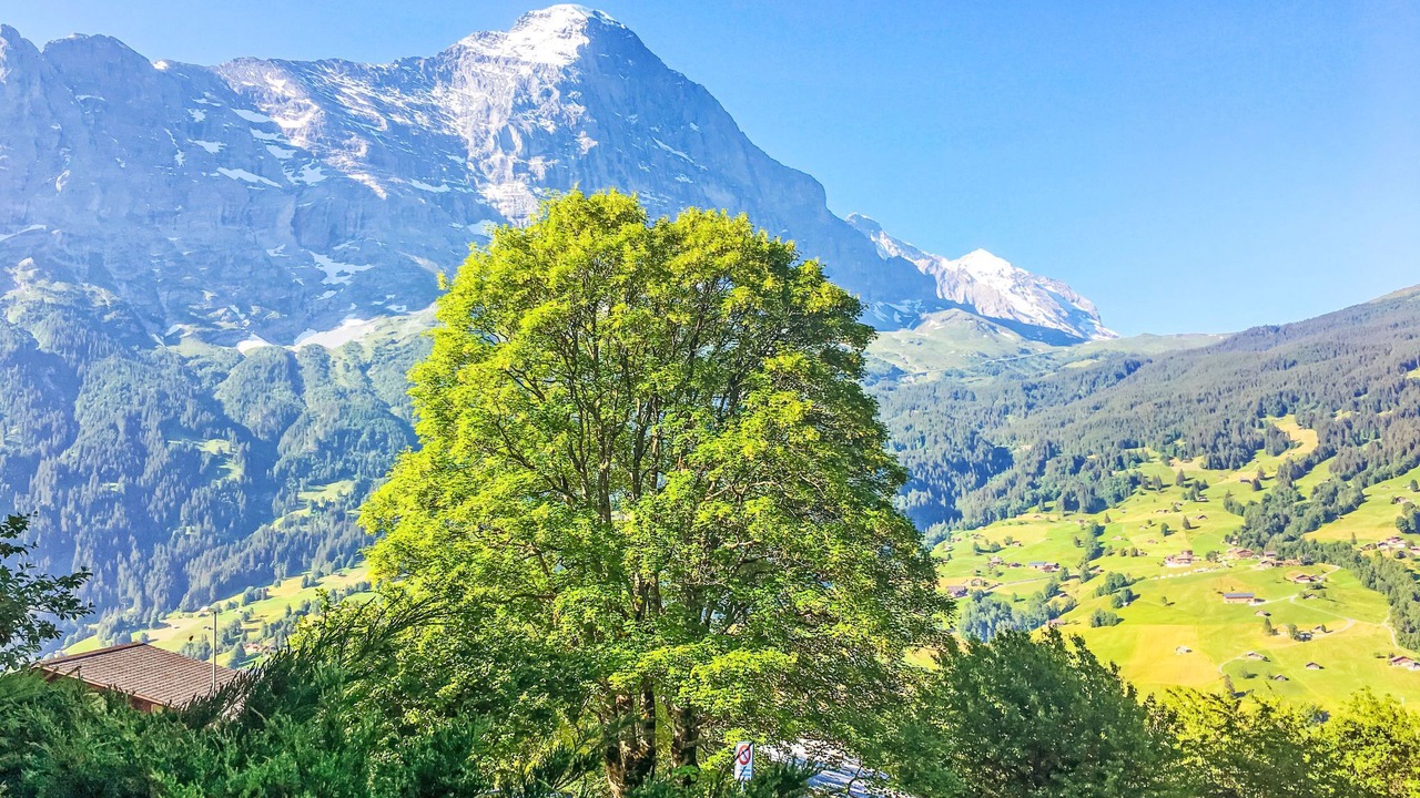 Photo of Others in Grindelwald