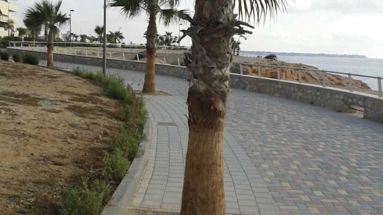 Photo of Outdoor in Torre de la Horadada