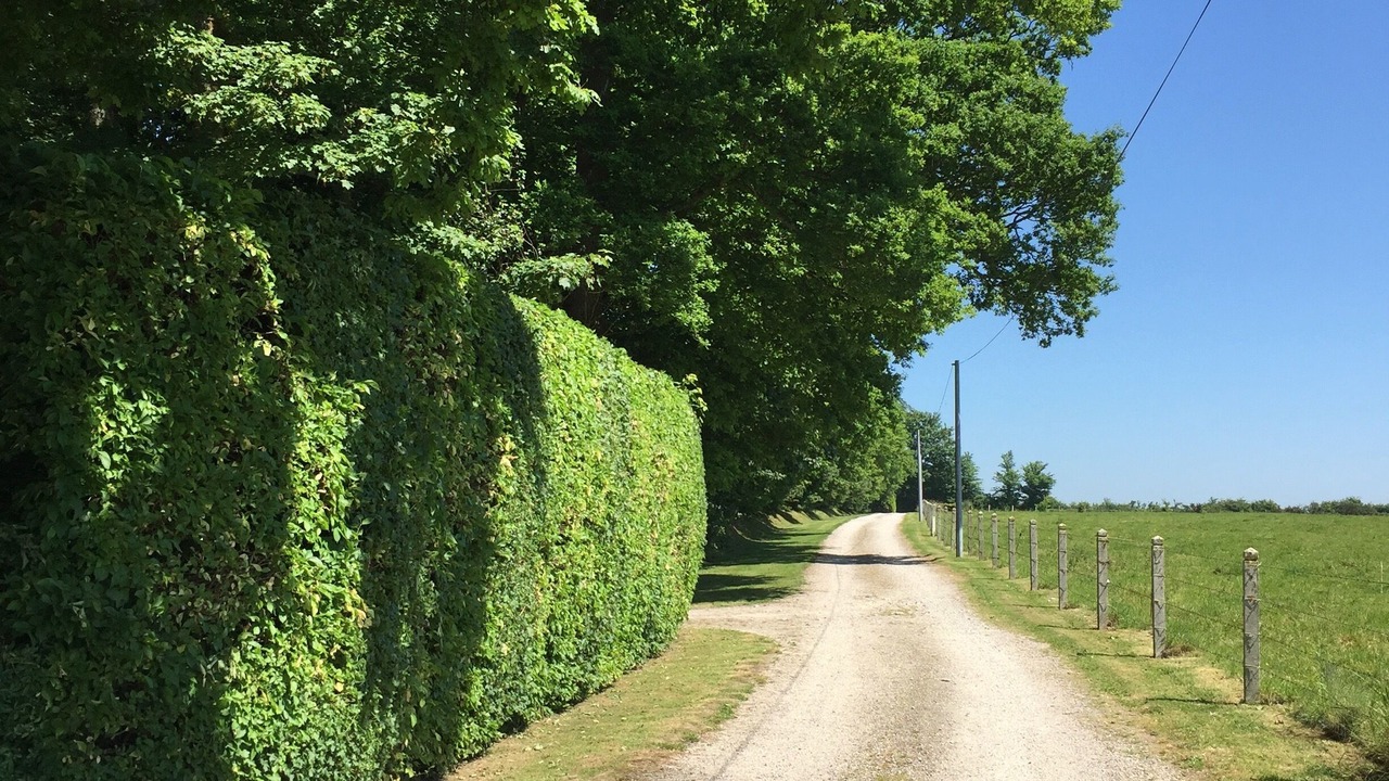 Photo of Others in Sainte-Mere-Eglise