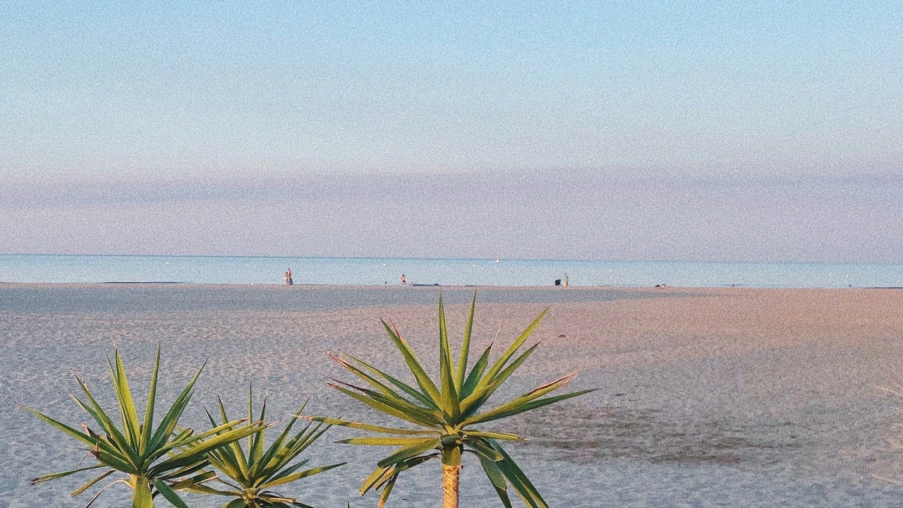 Photo of Others in Cap d'Agde