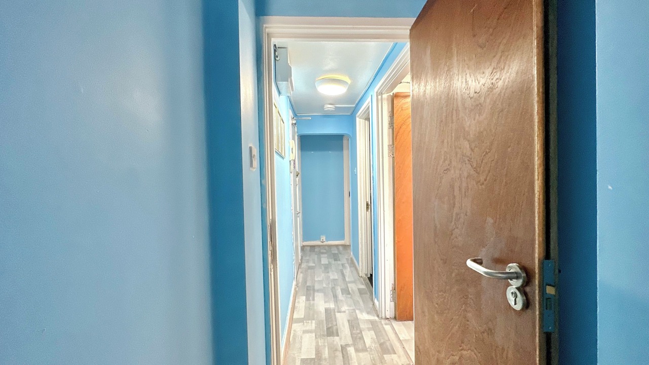 Photo of Others in Euston