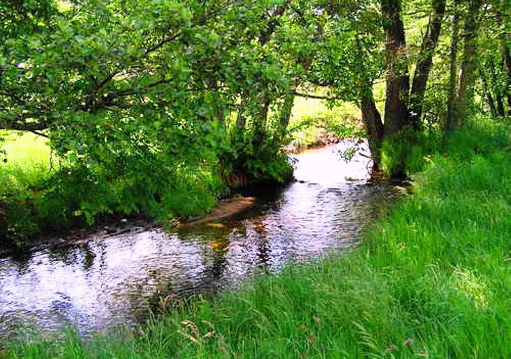 Photo of Outdoor in Verrieres-en-Forez