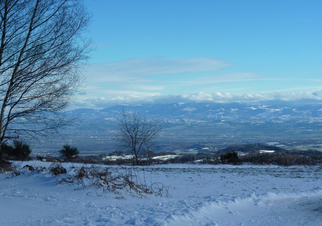 Photo of Others in Verrieres-en-Forez