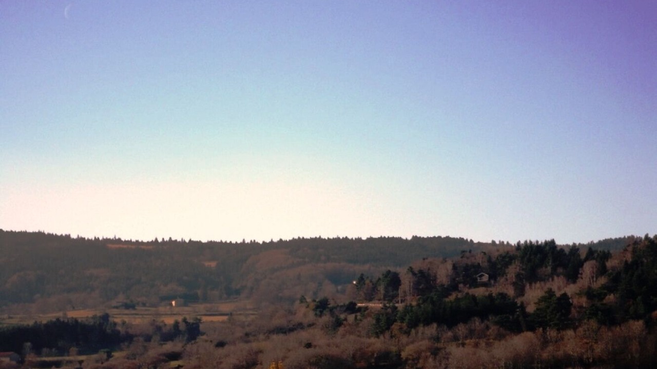 Photo of Others in Verrieres-en-Forez