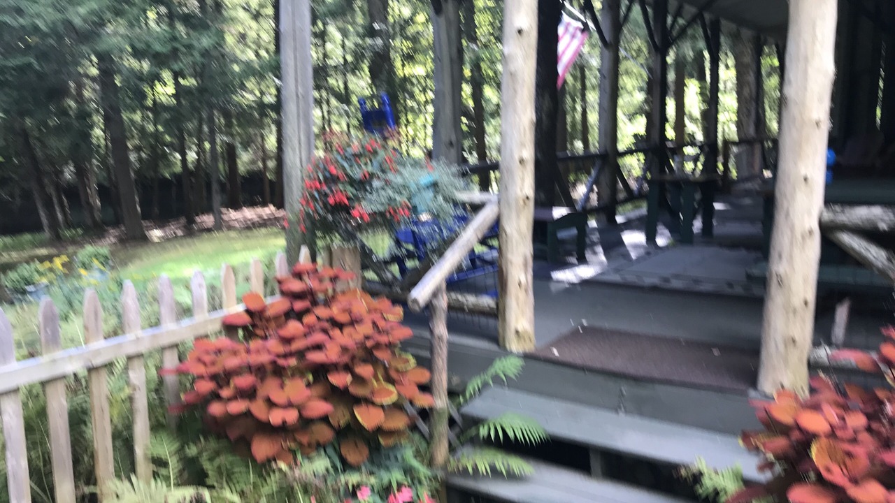 Photo of Patio Balcony in Inlet