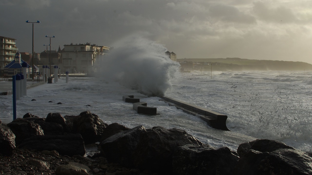 Photo of Others in Wimereux