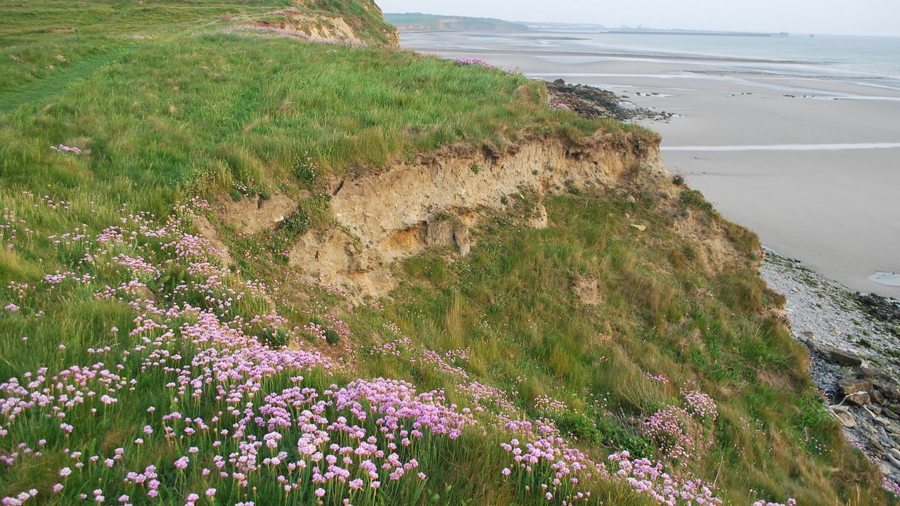 Photo of Others in Wimereux