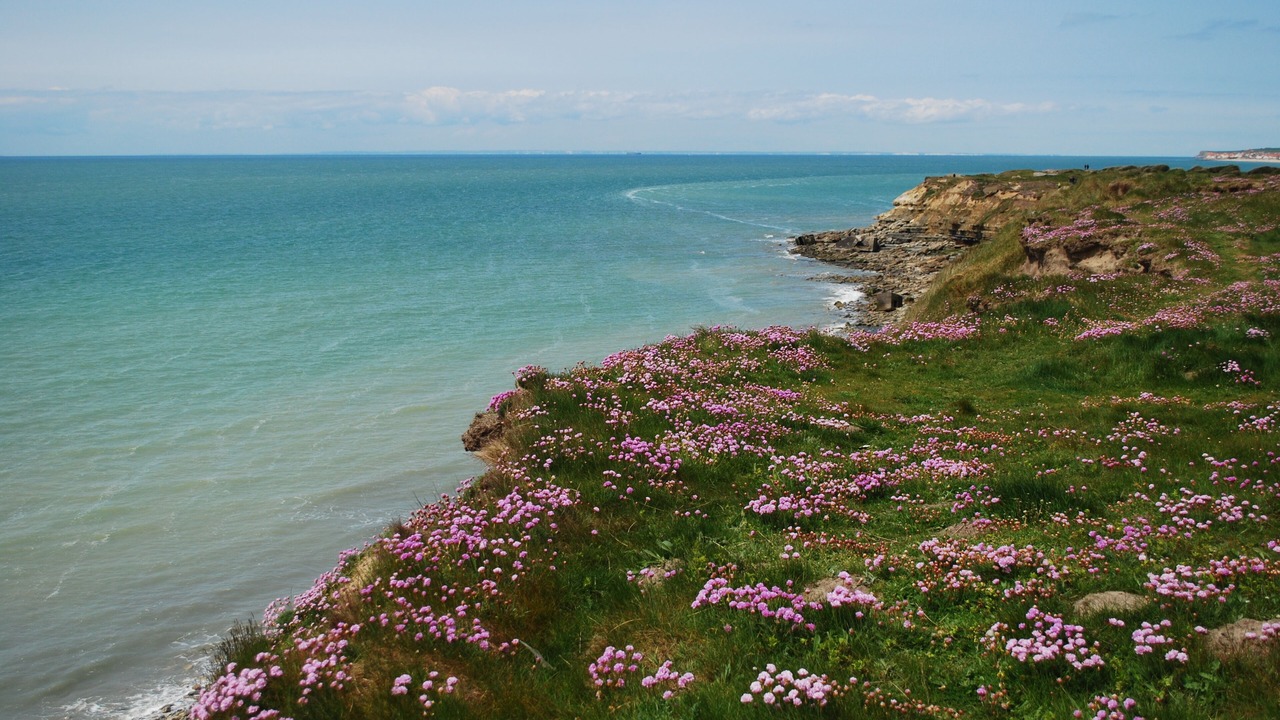 Photo of Others in Wimereux