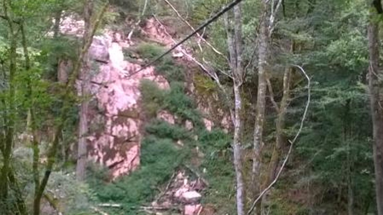 Photo of Outdoor in Chatel-Montagne