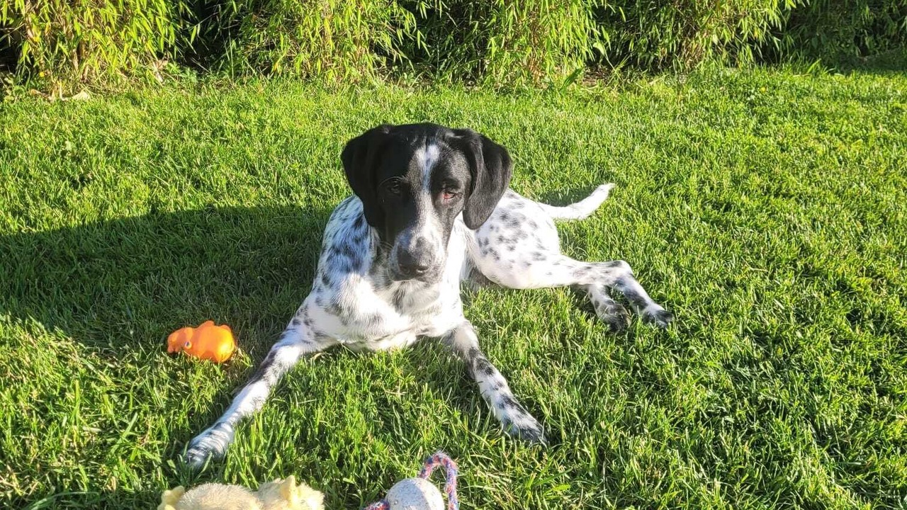 Photo of Others in Fouesnant