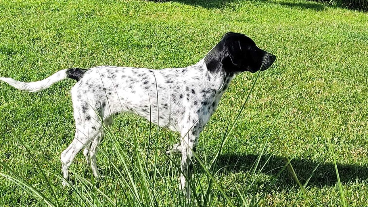 Photo of Others in Fouesnant