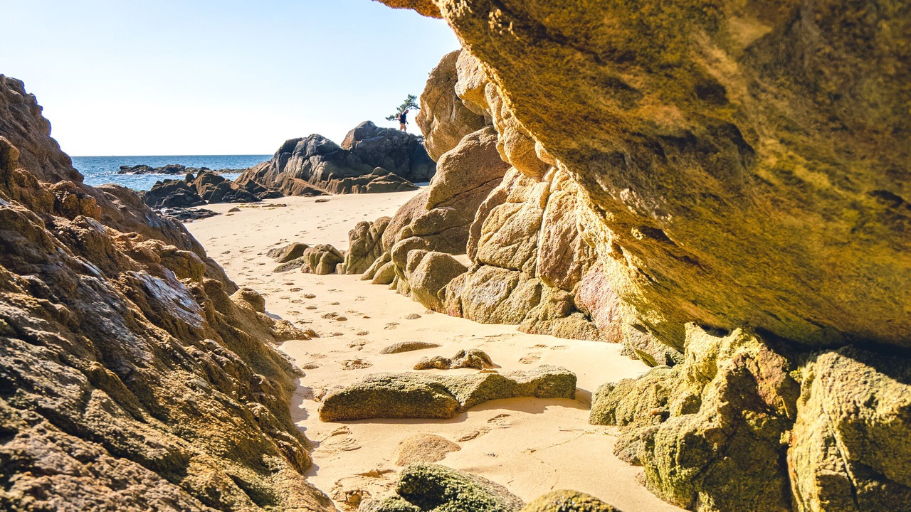 Photo of Others in Fouesnant