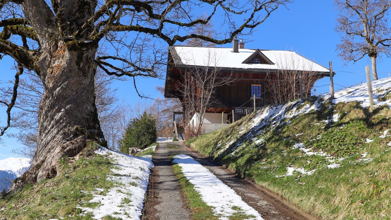 Photo of Others in Saanenmoeser