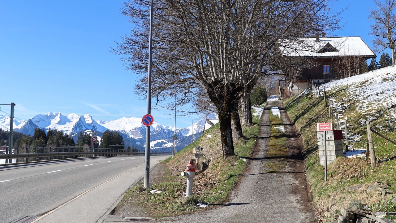 Photo of Outdoor in Saanenmoeser