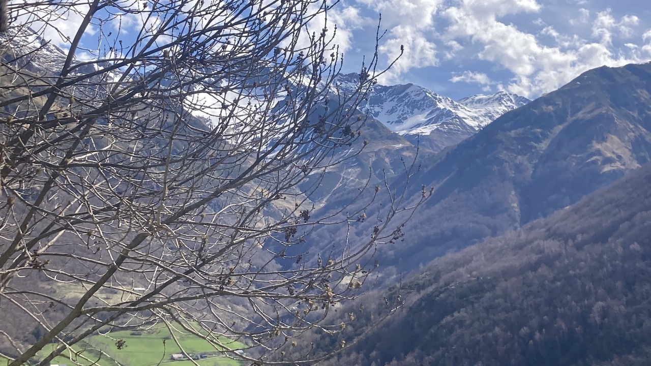 Photo of Outdoor in Gedre