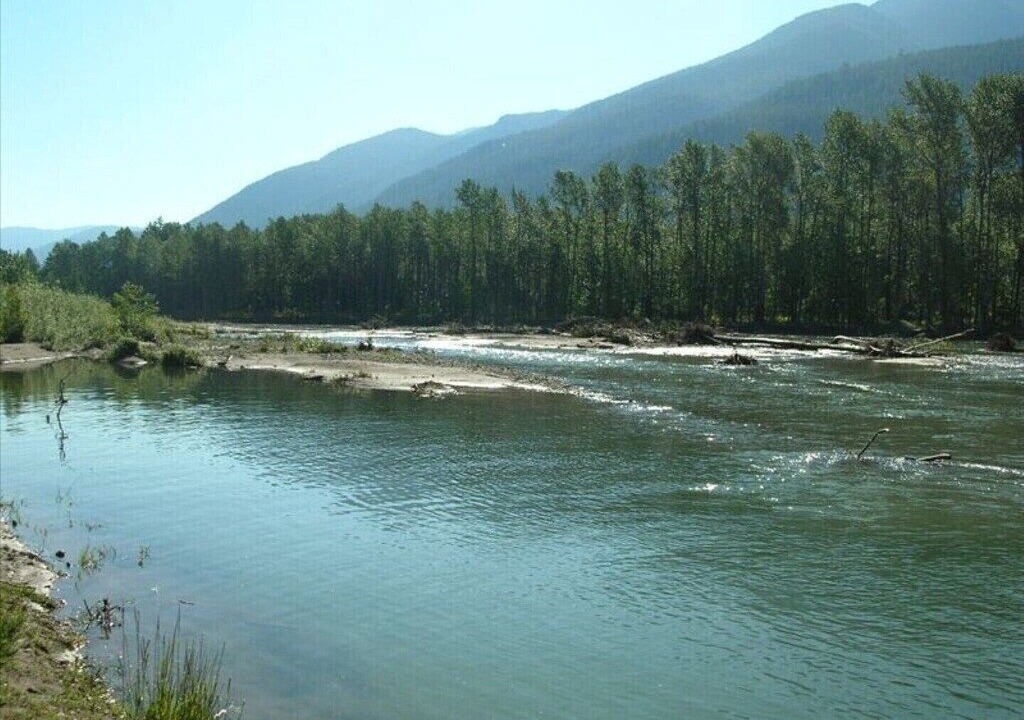 Photo of Others in Randle