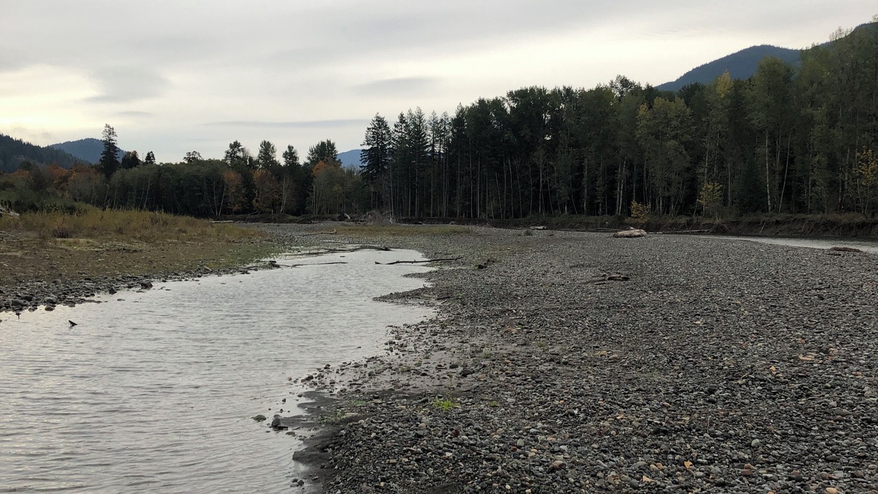 Photo of Others in Randle