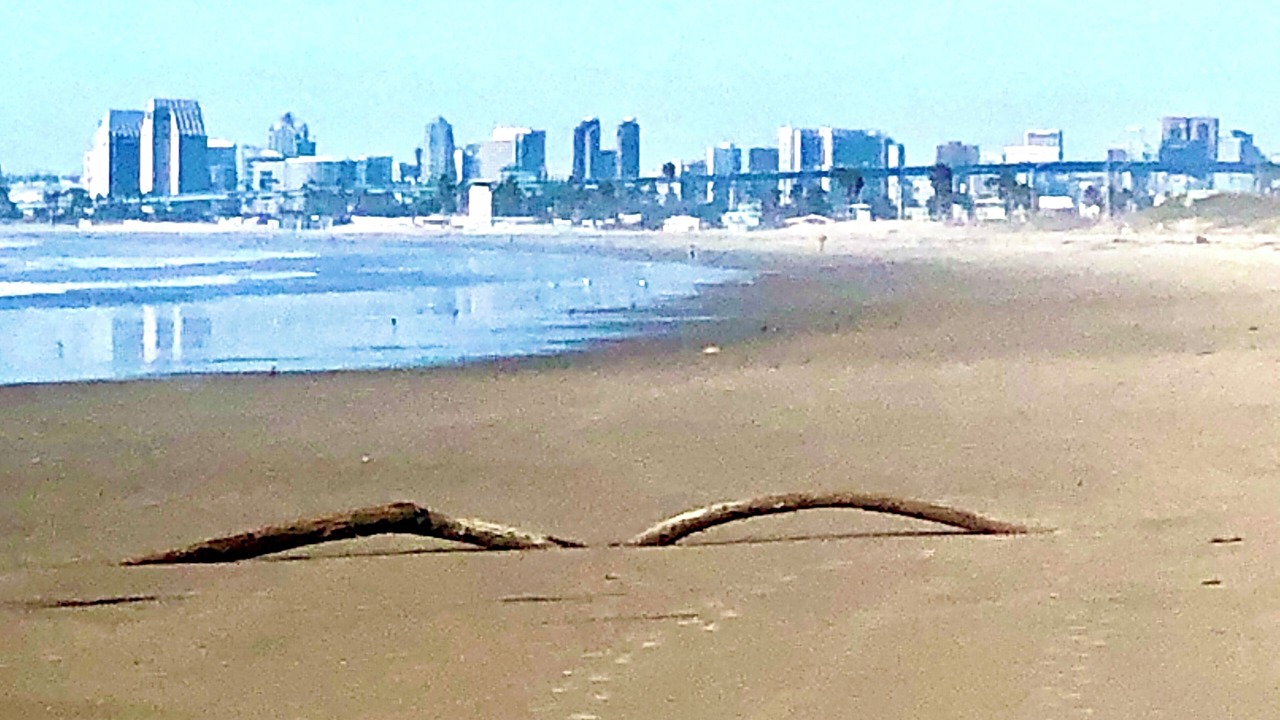 Photo of Others in Coronado Cays