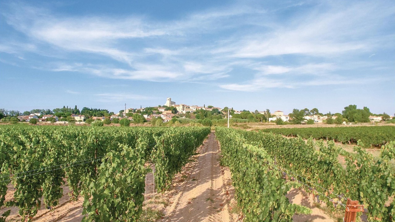 Photo of Others in Thezan-les-Beziers