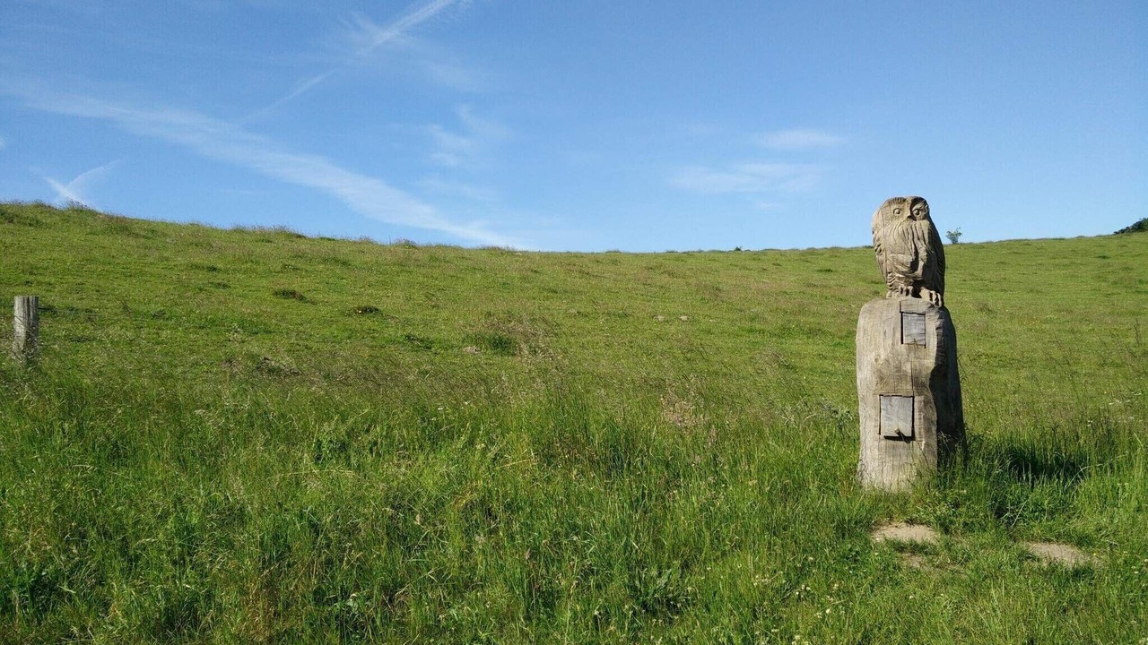Photo of Others in Femmøller