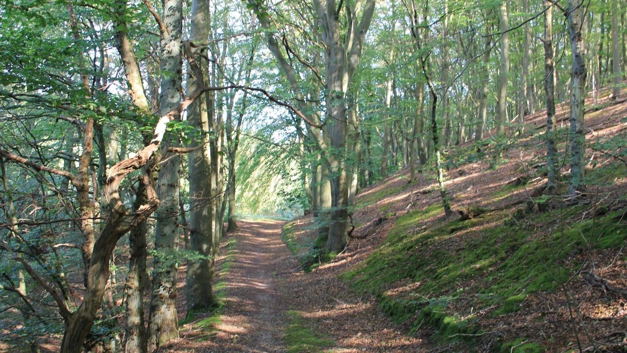 Photo of Others in Femmøller