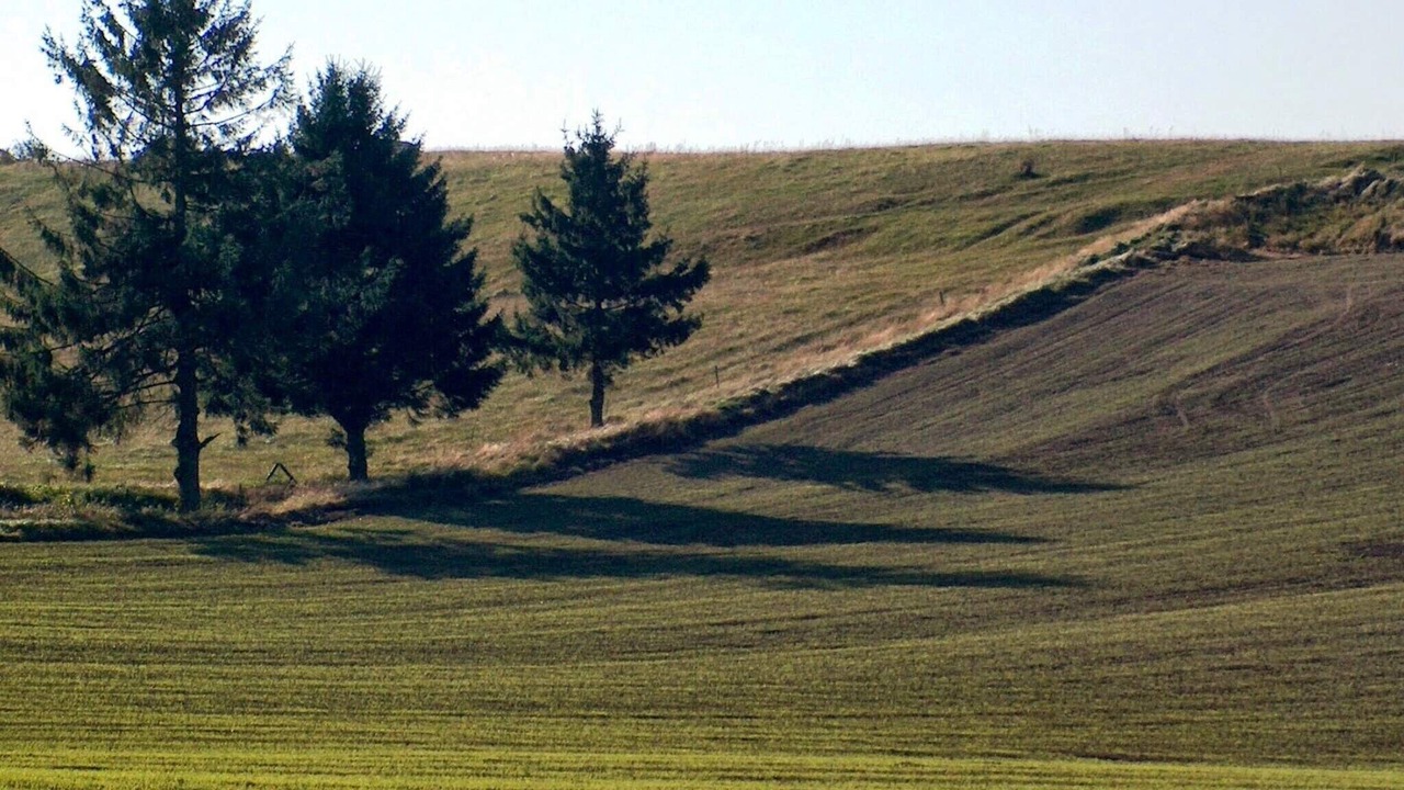 Photo of Others in Femmøller