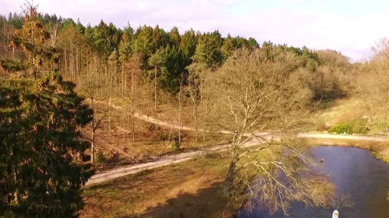 Photo of Others in Femmøller