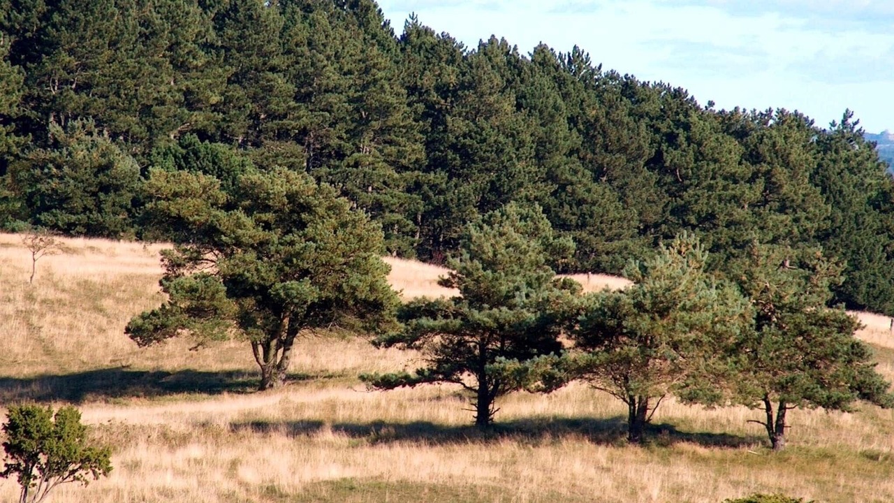 Photo of Others in Femmøller