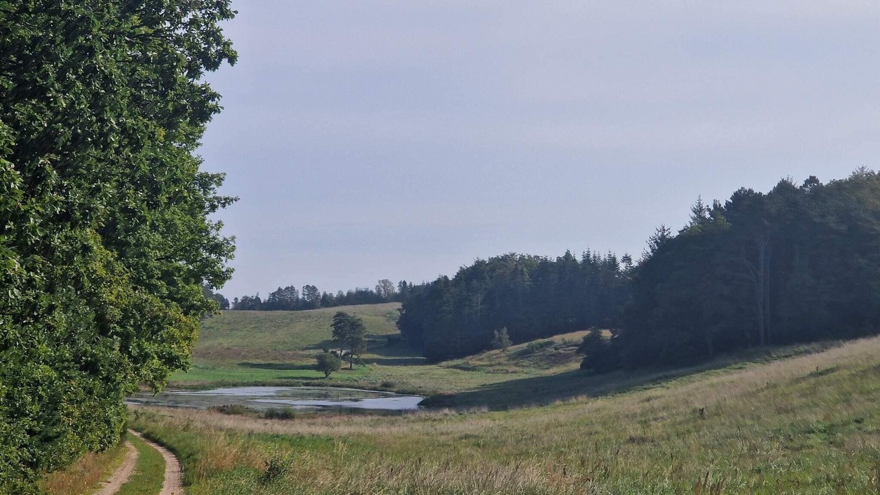 Photo of Others in Femmøller