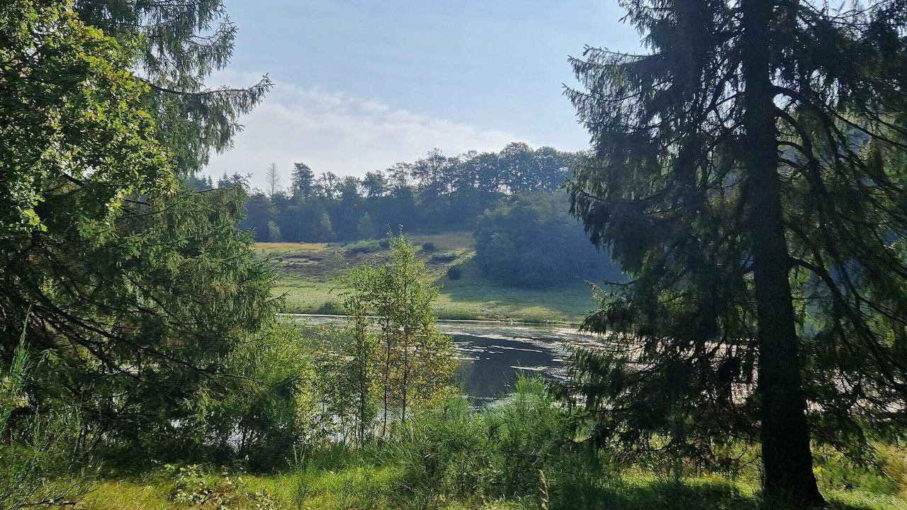 Photo of Others in Femmøller