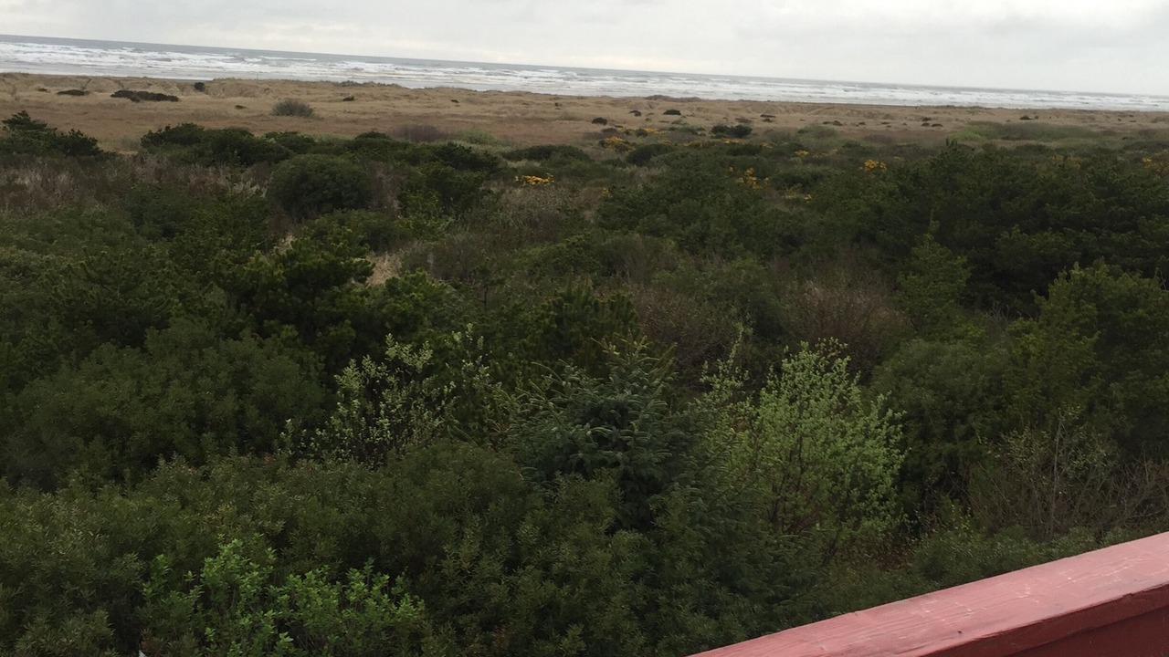 Photo of Outdoor in Ocean City