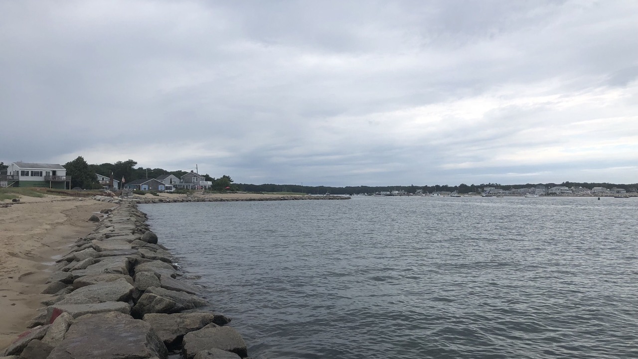 Photo of Others in Biddeford