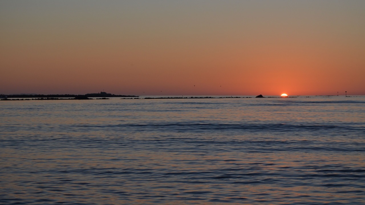 Photo of Others in Biddeford