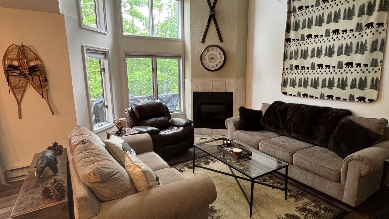 Photo of Livingroom in North Creek