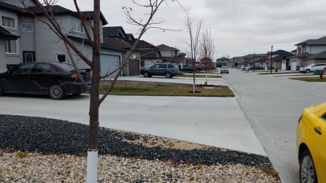 Photo of Others in Winnipeg