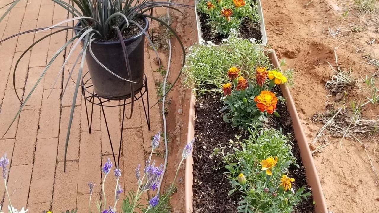 Photo of Outdoor in Kanab