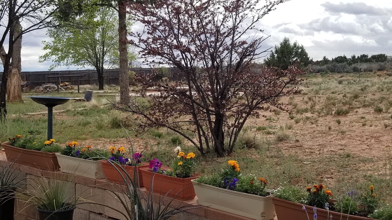 Photo of Outdoor in Kanab