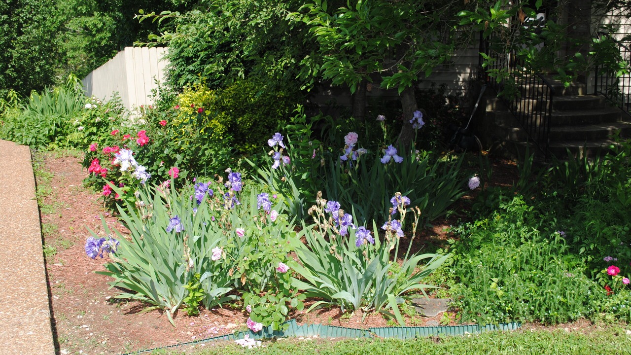 Photo of Outdoor in Nashboro Village