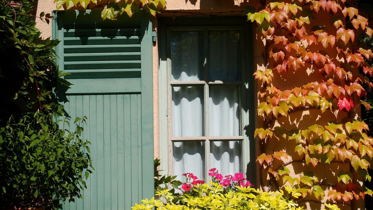 Photo of Outdoor in Le Vesinet