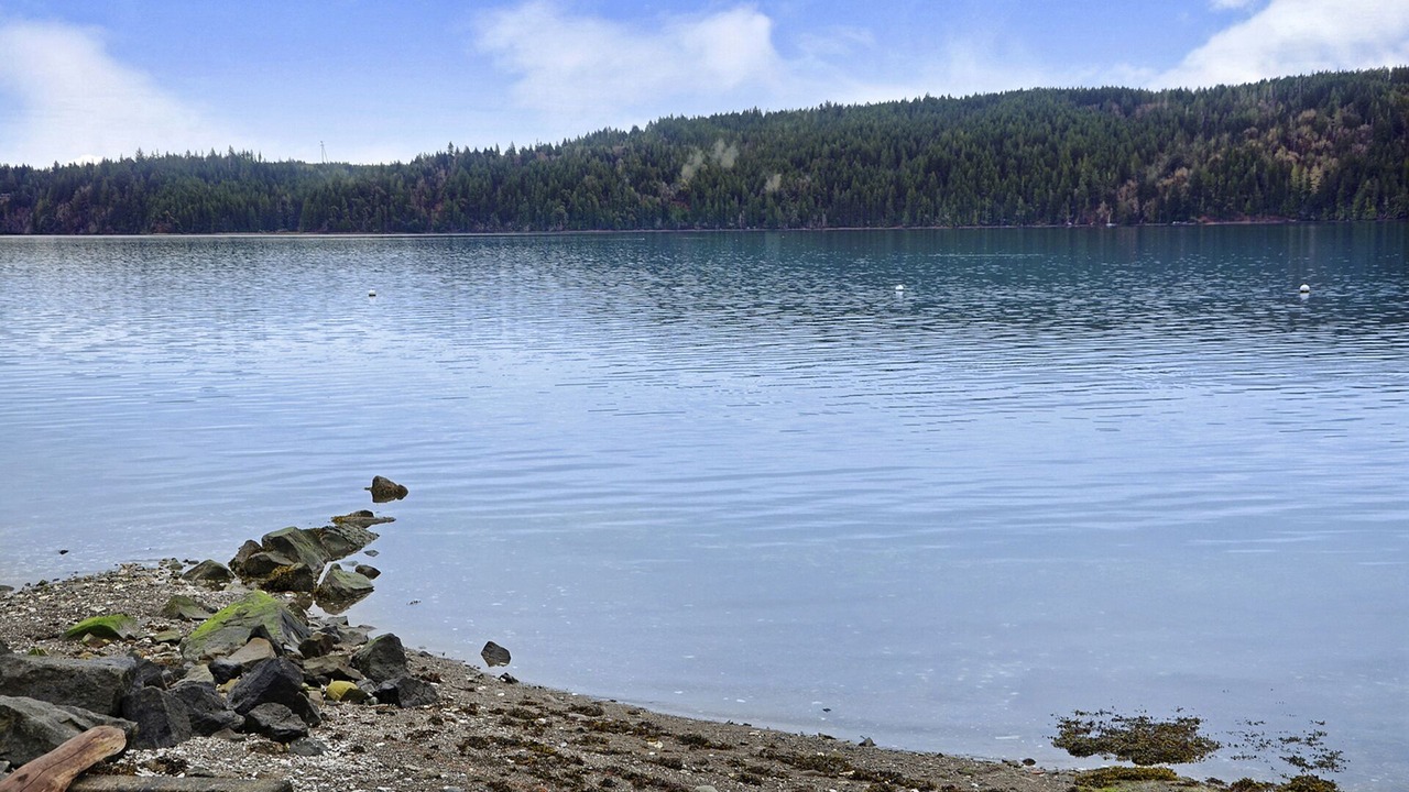 Photo of Others in Matlock