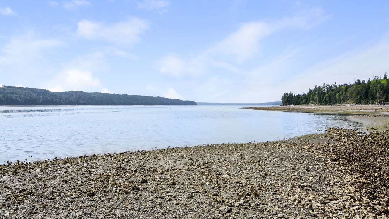 Photo of Others in Matlock