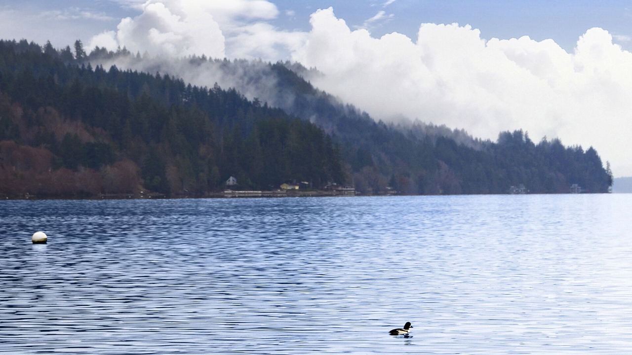 Photo of Others in Matlock