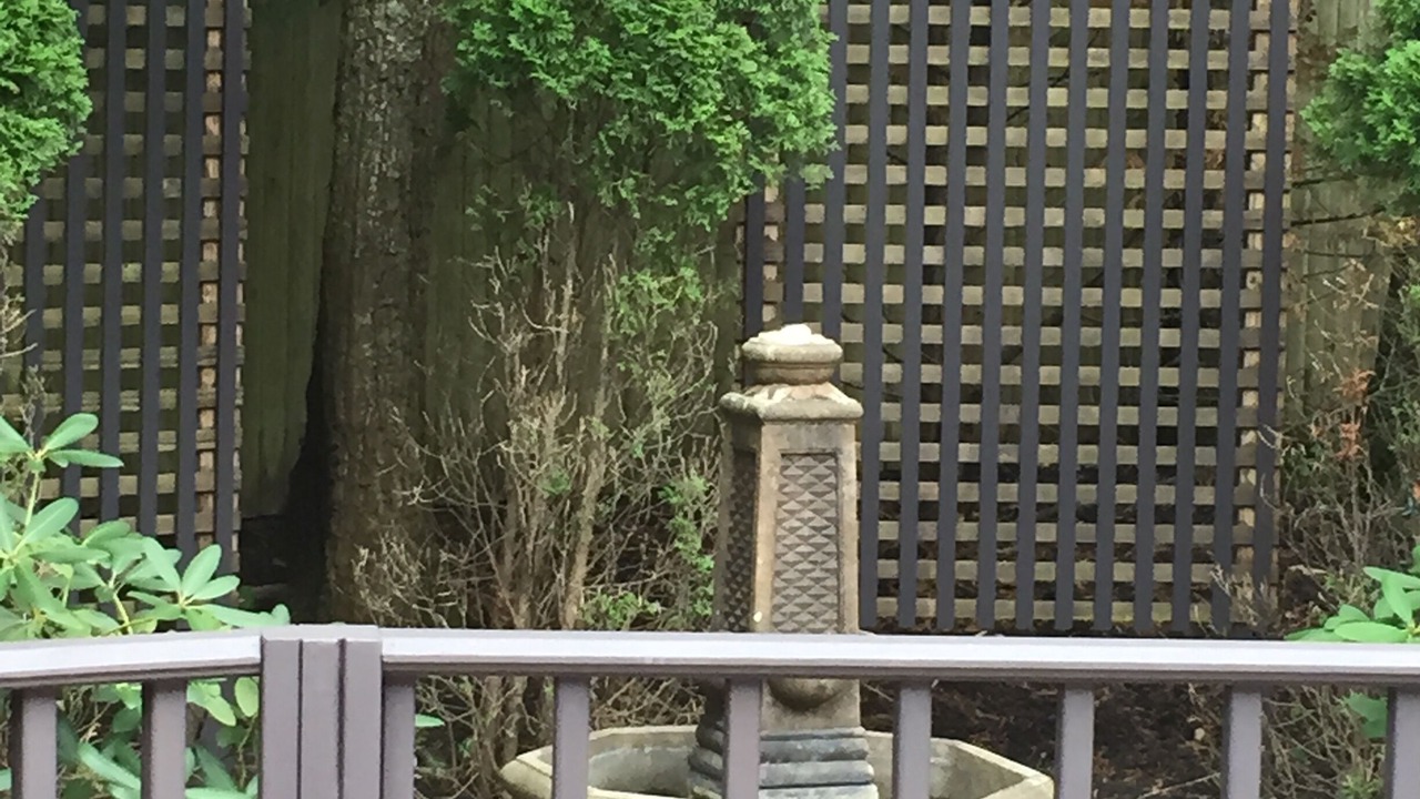 Photo of Outdoor in Hampton Bays