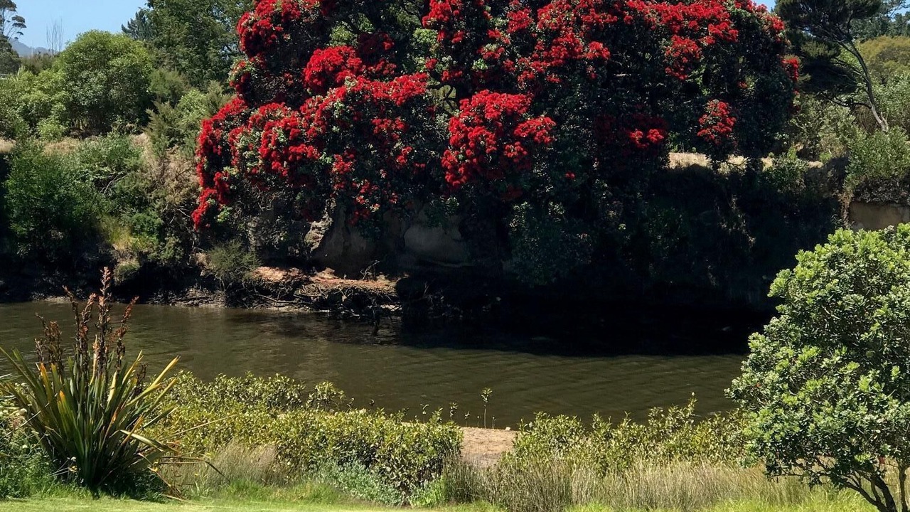 Photo of Others in Ruakaka