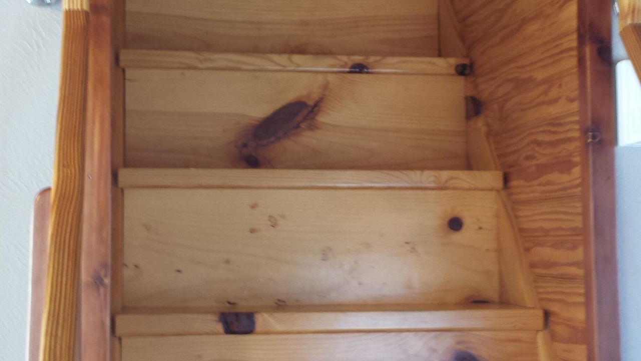 Photo of Others in Newnata