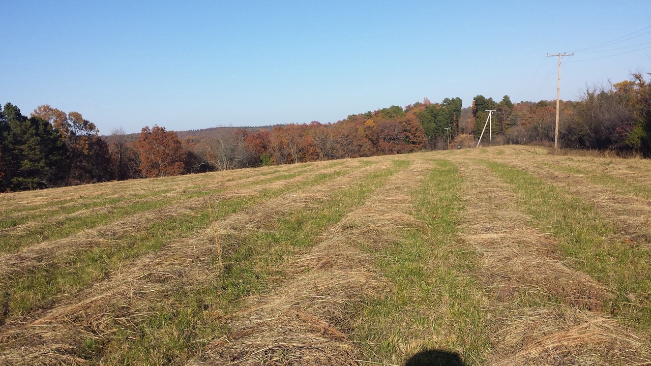 Photo of Others in Newnata